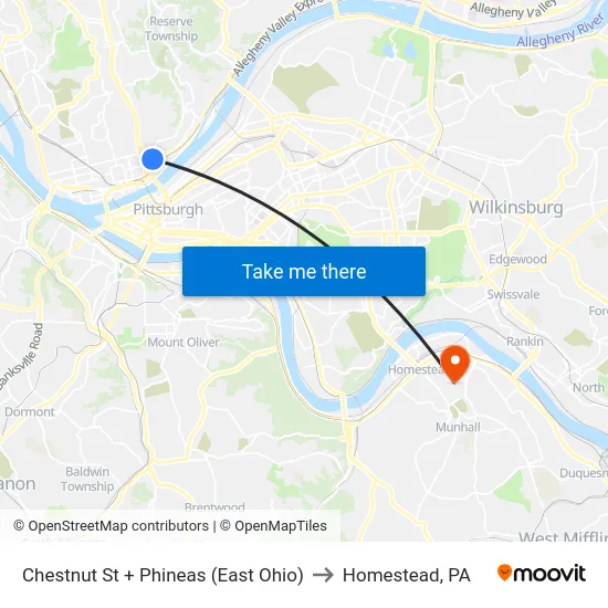 Chestnut St + Phineas (East Ohio) to Homestead, PA map