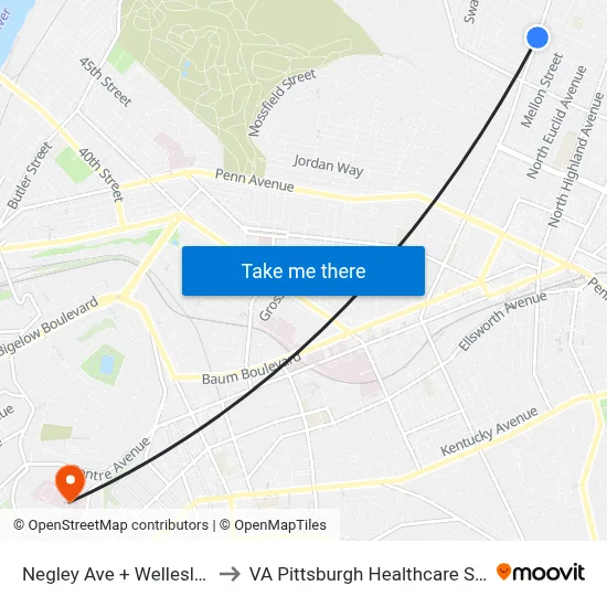 Negley Ave + Wellesley Ns to VA Pittsburgh Healthcare System map