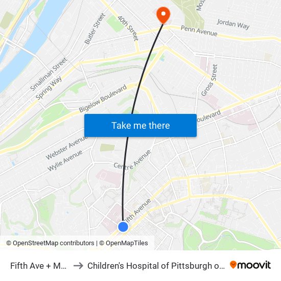 Fifth Ave + Mckee to Children's Hospital of Pittsburgh of UPMC map