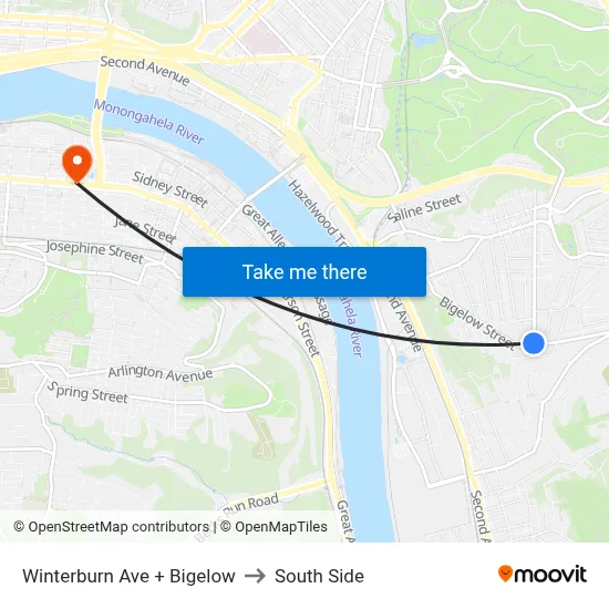 Winterburn Ave + Bigelow to South Side map