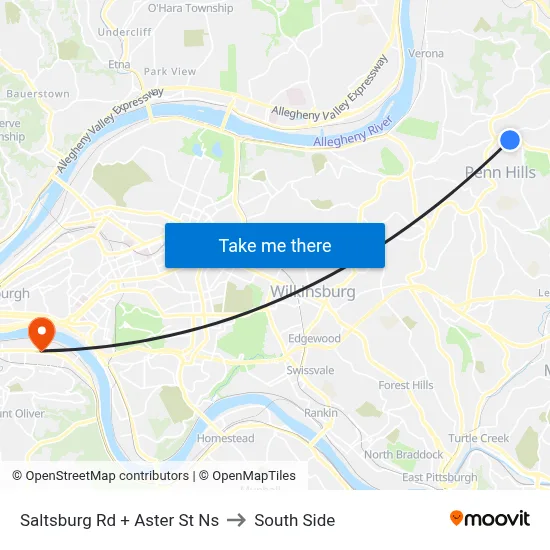 Saltsburg Rd + Aster St Ns to South Side map