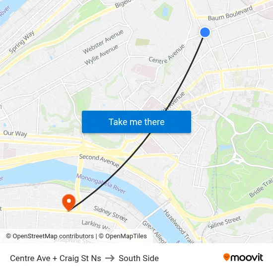 Centre Ave + Craig St Ns to South Side map