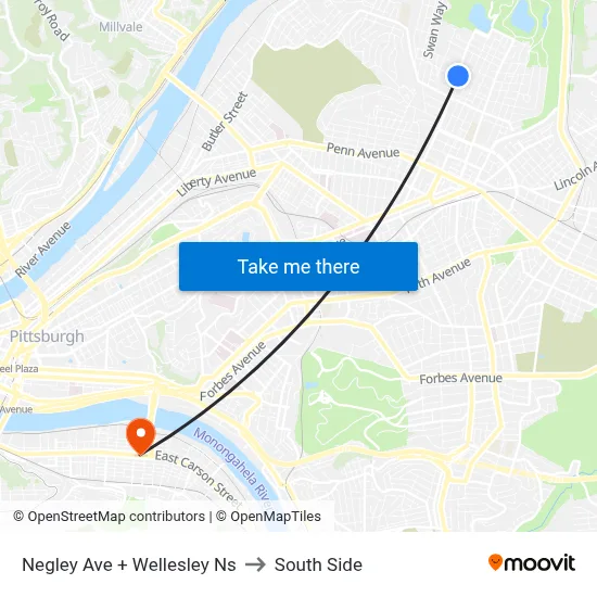 Negley Ave + Wellesley Ns to South Side map