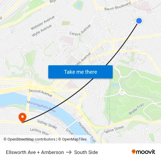 Ellsworth Ave + Amberson to South Side map