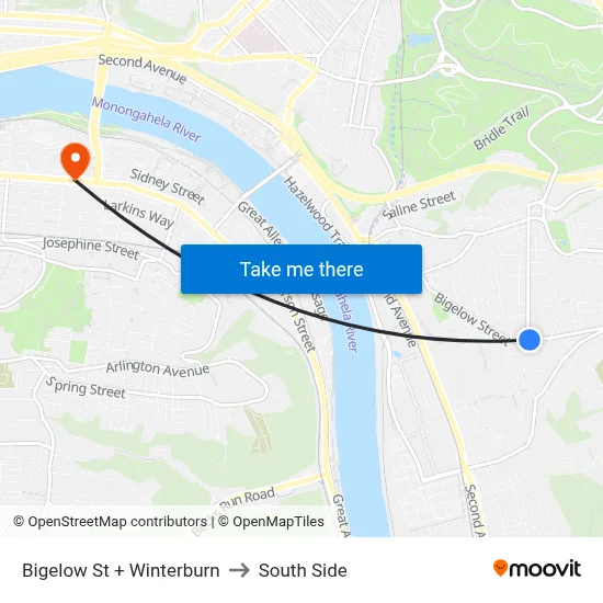 Bigelow St + Winterburn to South Side map