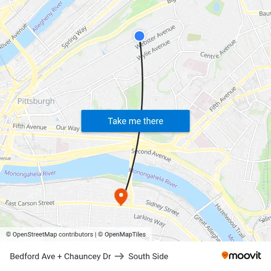 Bedford Ave + Chauncey Dr to South Side map