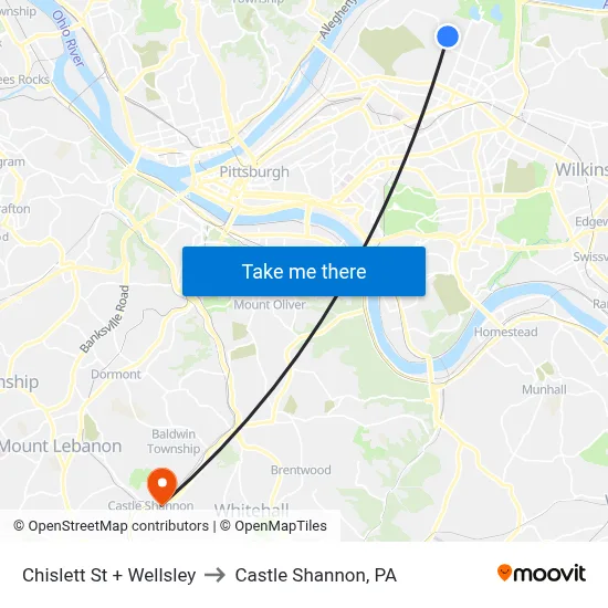 Chislett St + Wellsley to Castle Shannon,  PA map