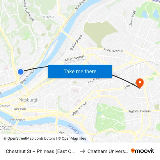 Chestnut St + Phineas (East Ohio) to Chatham University map