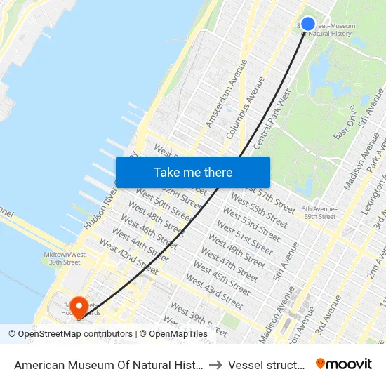 American Museum Of Natural History to Vessel structure map