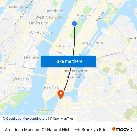 American Museum Of Natural History to Brooklyn Bridge map