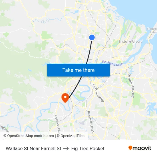 Wallace St Near Farnell St to Fig Tree Pocket map