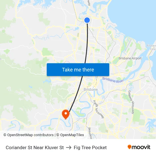 Coriander St Near Kluver St to Fig Tree Pocket map