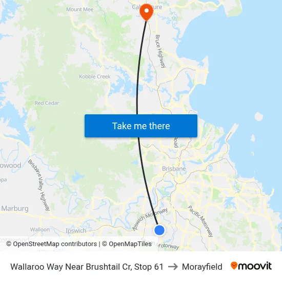 Wallaroo Way Near Brushtail Cr, Stop 61 to Morayfield map