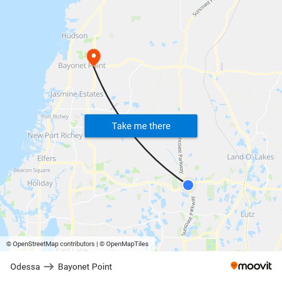 Odessa to Bayonet Point map