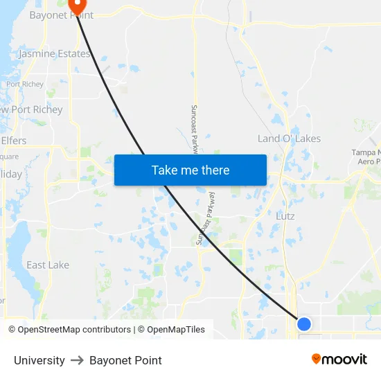 University to Bayonet Point map