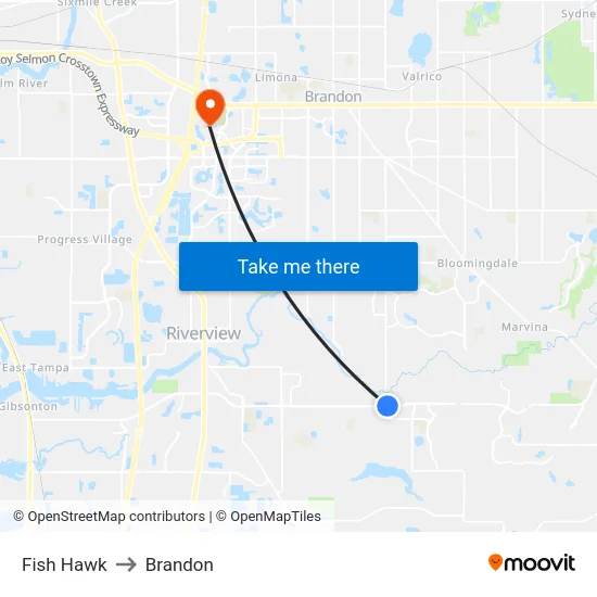 Fish Hawk to Brandon map