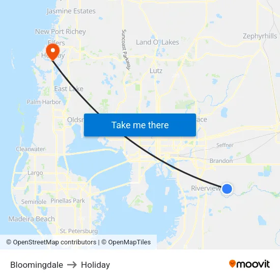 Bloomingdale to Holiday map