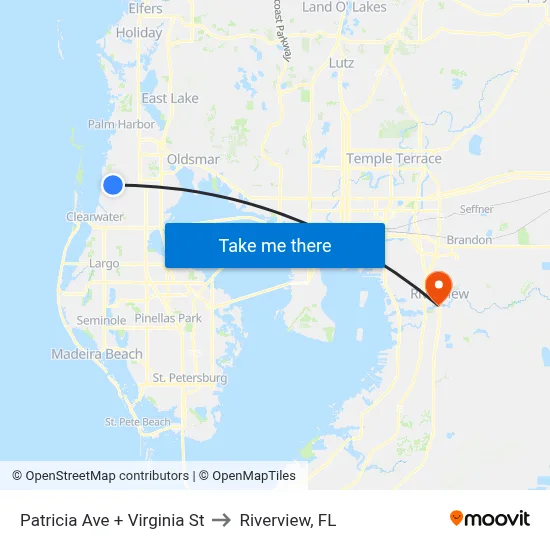 Patricia Ave + Virginia St to Riverview, FL map