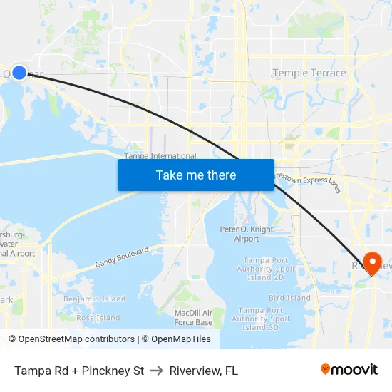 Tampa Rd + Pinckney St to Riverview, FL map