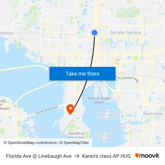 Florida Ave @ Linebaugh Ave to Karen's class AP HUG map