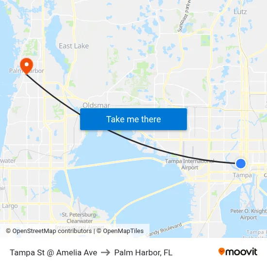 Tampa St @ Amelia Ave to Palm Harbor, FL map