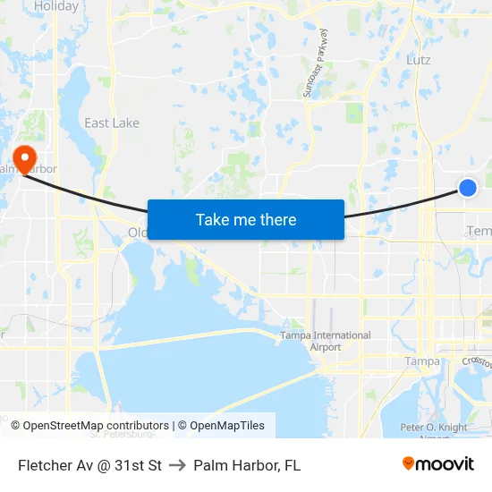 Fletcher Av @ 31st St to Palm Harbor, FL map