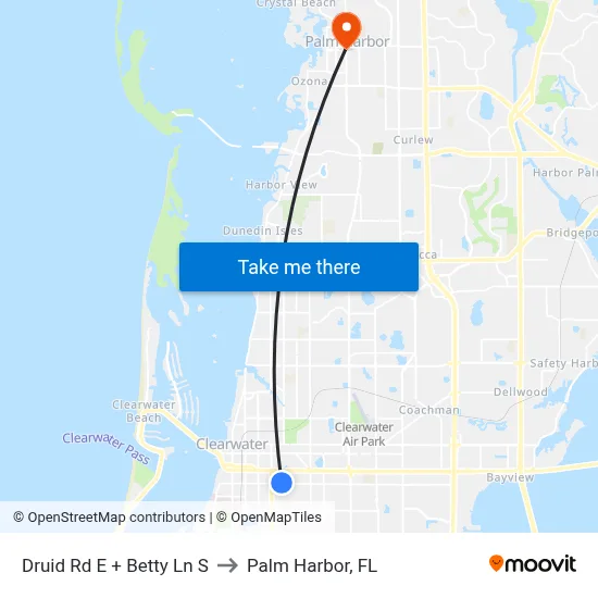 Druid Rd E + Betty Ln S to Palm Harbor, FL map