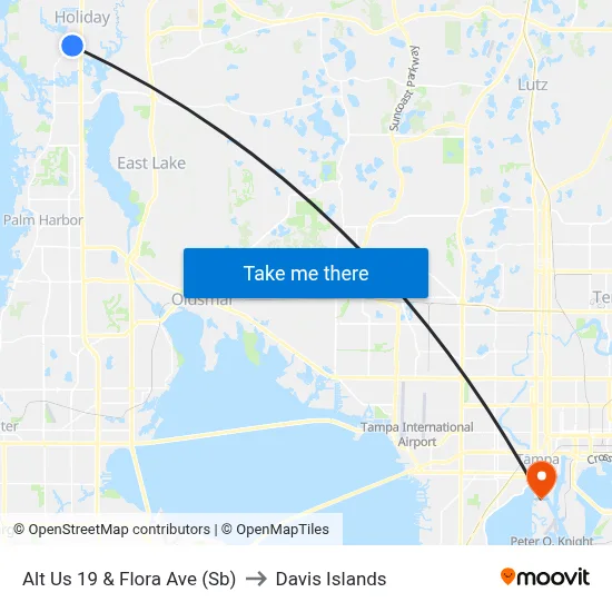 Alt Us 19 & Flora Ave (Sb) to Davis Islands map