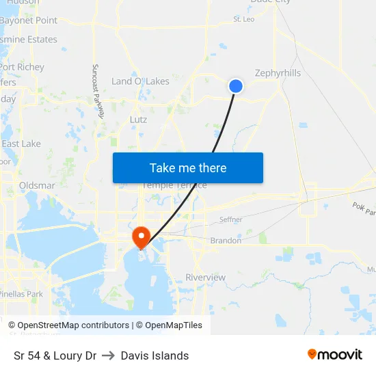 Sr 54 & Loury Dr to Davis Islands map
