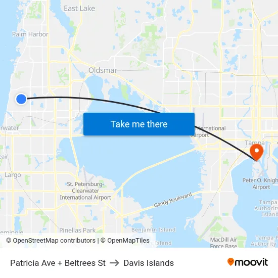 Patricia Ave + Beltrees St to Davis Islands map