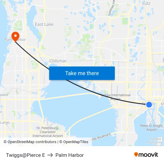 Twiggs@Pierce E to Palm Harbor map