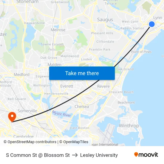 S Common St @ Blossom St to Lesley University map