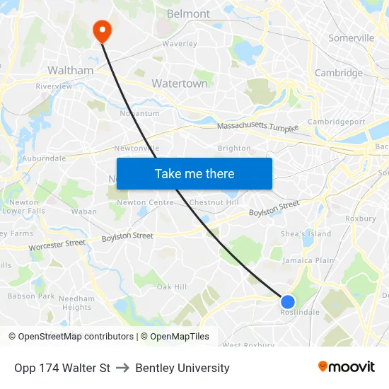 Opp 174 Walter St to Bentley University map