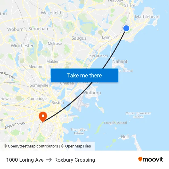 1000 Loring Ave to Roxbury Crossing map