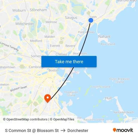 S Common St @ Blossom St to Dorchester map