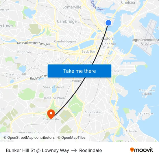 Bunker Hill St @ Lowney Way to Roslindale map
