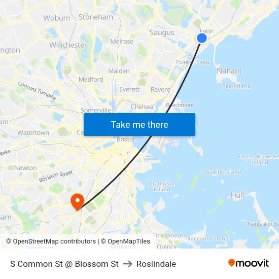 S Common St @ Blossom St to Roslindale map