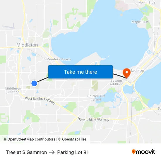 Tree at S Gammon to Parking Lot 91 map