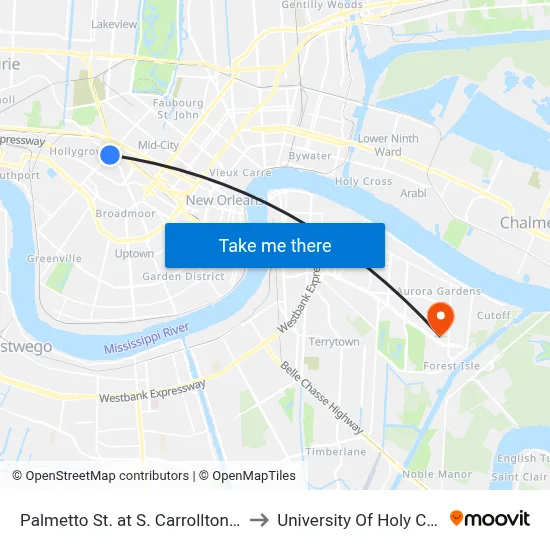 Palmetto St. at S. Carrollton Ave. to University Of Holy Cross map