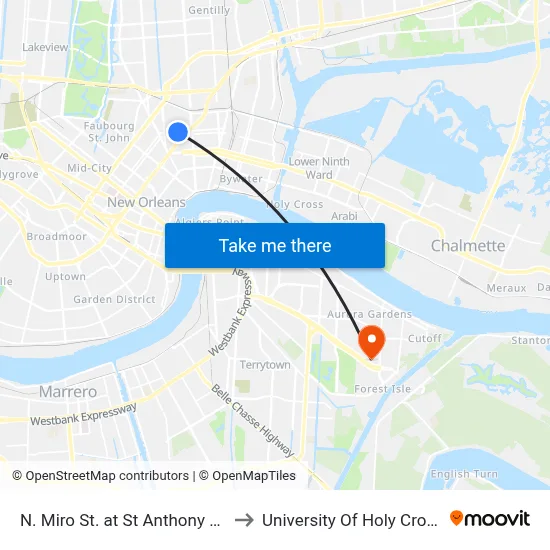 N. Miro St. at St Anthony St. to University Of Holy Cross map