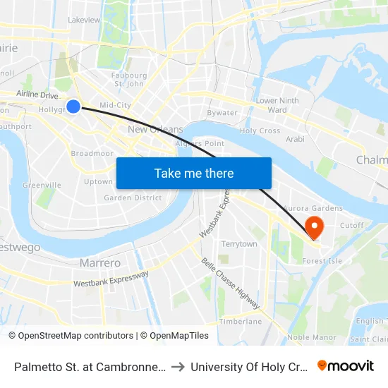 Palmetto St. at Cambronne St. to University Of Holy Cross map