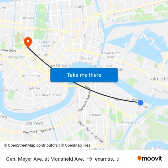 Gen. Meyer Ave. at Mansfield Ave. to examss.. :| map