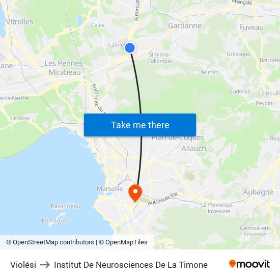 Violési to Institut De Neurosciences De La Timone map