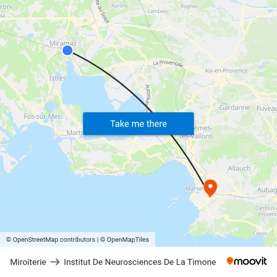 Miroiterie to Institut De Neurosciences De La Timone map