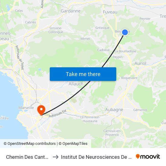 Chemin Des Cantonniers to Institut De Neurosciences De La Timone map