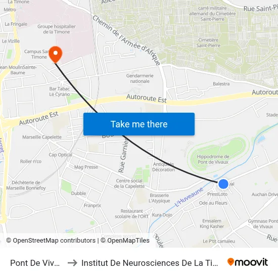 Pont De Vivaux to Institut De Neurosciences De La Timone map