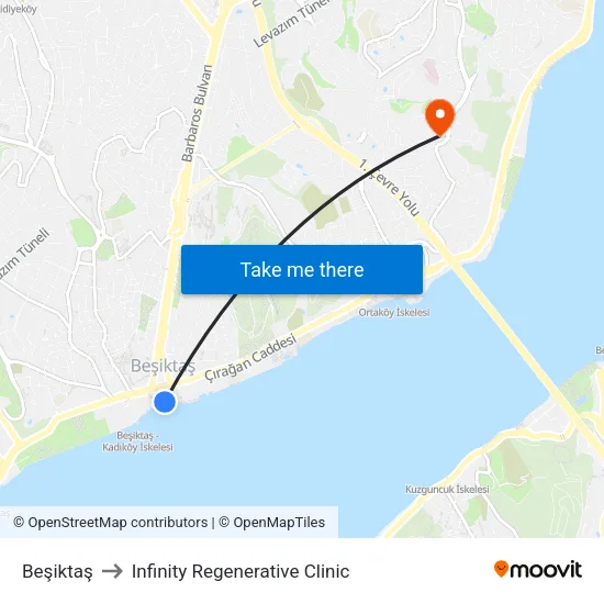 Beşiktaş to Infinity Regenerative Clinic map
