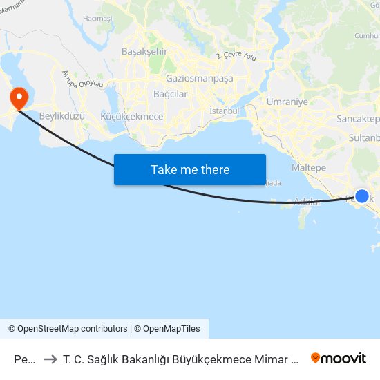 Pendik to T. C. Sağlık Bakanlığı Büyükçekmece Mimar Sinan Devlet Hastanesi map