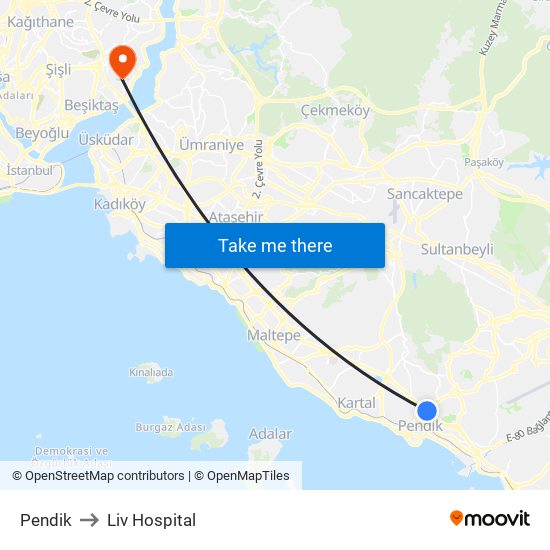 Pendik to Liv Hospital map