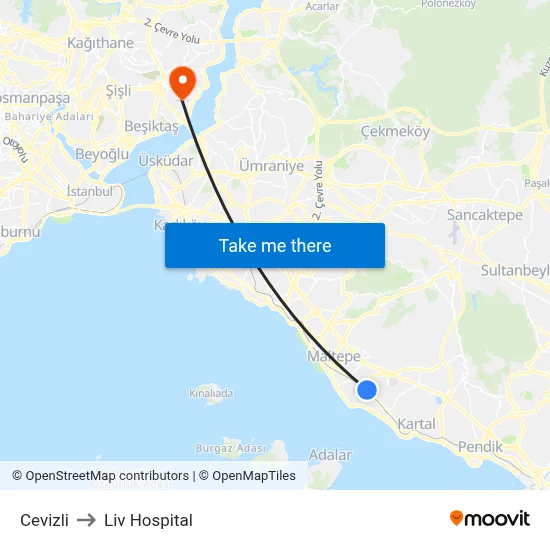 Cevizli to Liv Hospital map